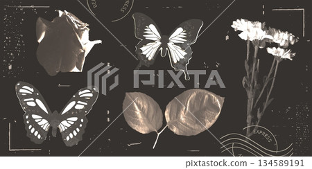 Photocopy butterfly and flower vintage collage 134589191