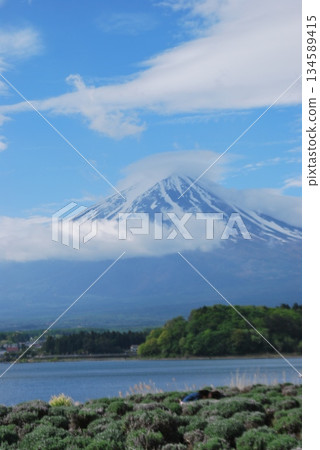 富士山位於河口湖畔 134589415