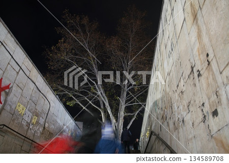 Plane tree with orange leaves (not too much) in Tbilisi 134589708