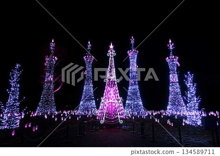 Illumination Sagae City 134589711