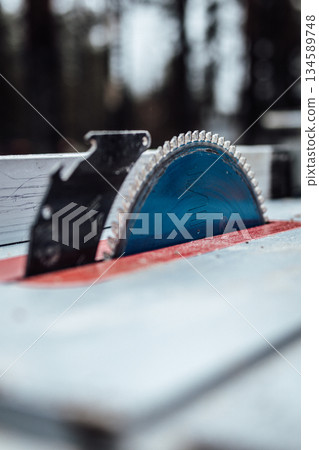 Circular saw blade positioned on a woodworking table, showcasing sharp teeth and blue tint, surrounded by a blurred forest backdrop, emphasizing craftsmanship and precision in woodworking 134589748
