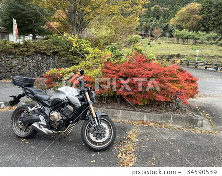 Bike Touring 134590539