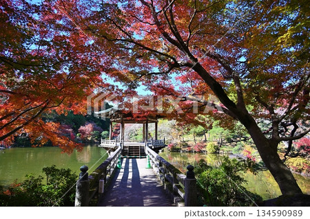 千葉縣成田山公園的秋葉節 134590989