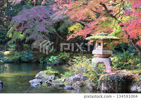 千葉縣成田山公園的秋葉節 千葉縣成田山公園的秋葉節 134591004
