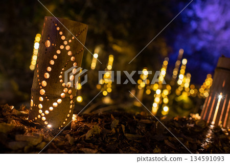 Illumination of Akame 48 Waterfalls in Nabari City, Mie Prefecture 134591093
