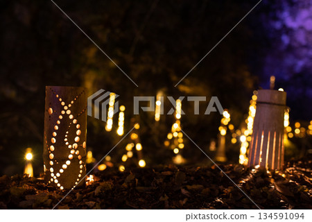 Illumination of Akame 48 Waterfalls in Nabari City, Mie Prefecture 134591094