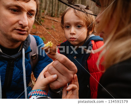 Family Observes Yellow Caterpillar on Leaf in Forest 134591579