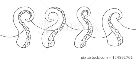 Tentacles line art illustration. Nautical line art design with suction cups for tattoos, marine patterns, and fantasy artworks 134591701