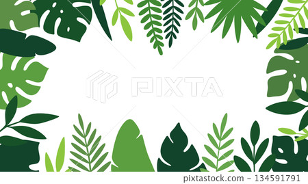 Tropical botanical frame with monstera, palm, and banana leaves. Vector border for invitations and designs Tropical botanical frame with monstera, palm, and banana leaves. Vector border for invitations and designs 134591791