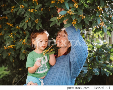 Grandmother and grandson admire a flowering tree together Grandmother and grandson admire a flowering tree together 134591991