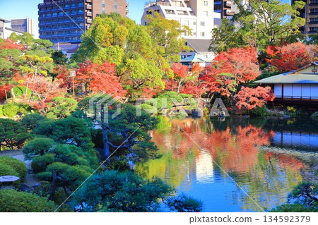 [Hyogo Prefecture] Autumn leaves at Sorakuen Garden on a clear day 134592379