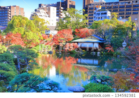 【兵庫縣】晴天時空樂園的秋葉 134592381