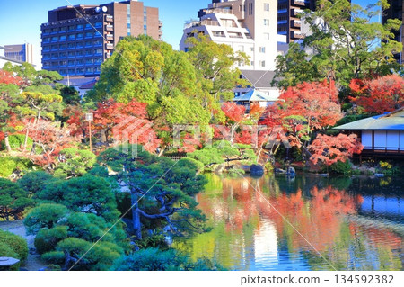 【兵庫縣】晴天時空樂園的秋葉 134592382
