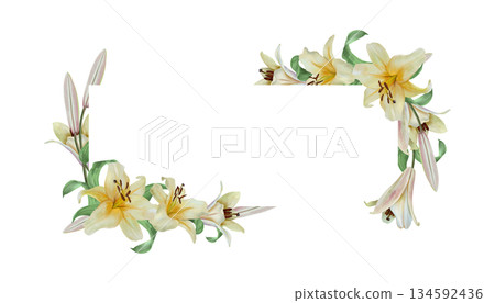 White lilies template for text insertion. Hand drawn watercolor illustration of flowers, isolated. Wedding invitations, cards and envelopes for birthdays, Valentines Day, Epiphany, Easter and funerals 134592436