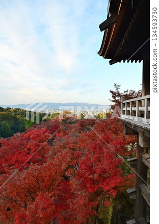 Kyoto Higashiyama: Autumn leaves turn red at Kiyomizu-dera Temple, a World Heritage Site Kyoto Higashiyama: Autumn leaves turn red at Kiyomizu-dera Temple, a World Heritage Site 134593730