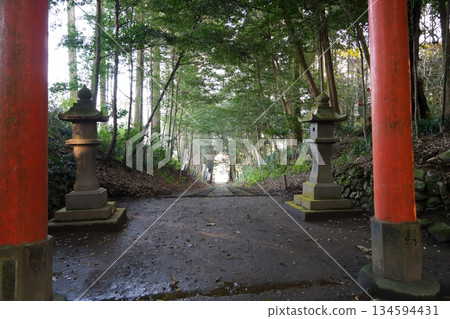 The approach to Kirishimamine Shrine in Kobayashi City, Miyazaki Prefecture 134594431