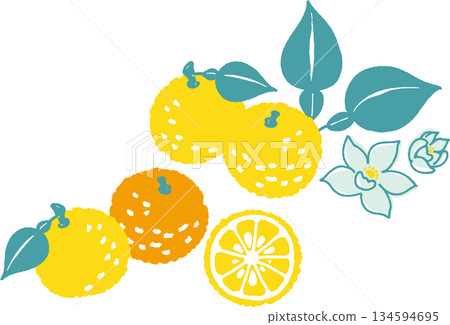 一幅簡潔而流行的復古柚子插畫 134594695