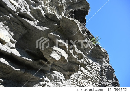 Winter scenery of Mt. Nokogiri, Chiba 134594752