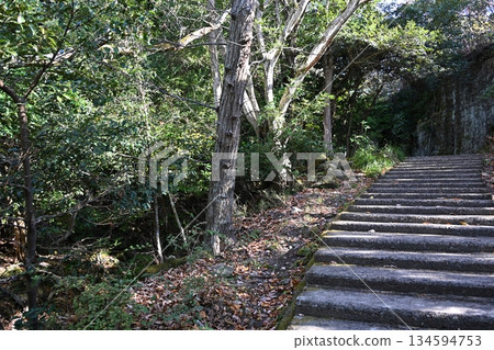 Stairs leading to the summit of Mt. Nokogiri, Chiba 134594753