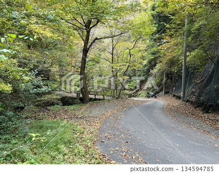 Pass road 134594785