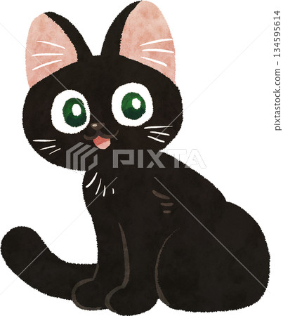 Black cat Black cat 134595614