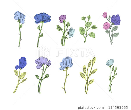 Delicate watercolor flowers rendered with fine details, capturing botanical elegance through soft pastel toned hand drawn illustrations highlighting natural beauty 134595965