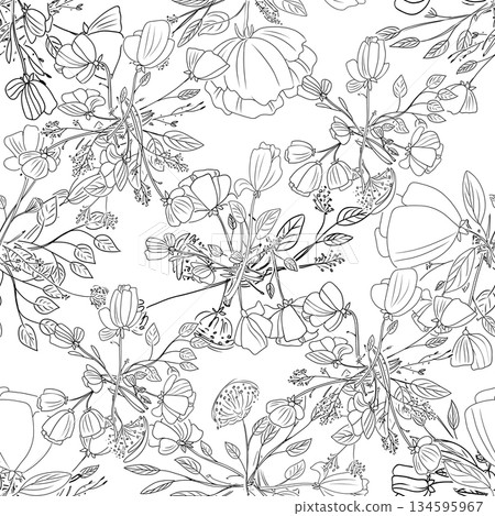 A Seamless Pattern Featuring Black outline flowers on a Clean White Background Surface. Sketchy floral art A Seamless Pattern Featuring Black outline flowers on a Clean White Background Surface. Sketchy floral art 134595967