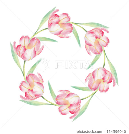 Wreath of tulips. Watercolor illustration. For fabric, wallpaper, packing paper, greeting cards, design, decoration and illustration. 134596040