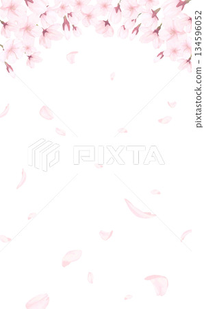 Cherry blossoms_hand-drawn_petal background_vertical_cherry blossoms and flying petals Cherry blossoms_hand-drawn_petal background_vertical_cherry blossoms and flying petals 134596052