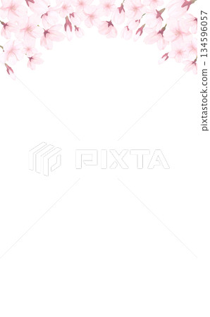 櫻花_手繪_花瓣背景_豎版 134596057