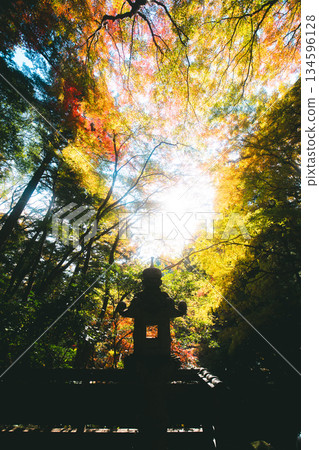 Shrines and Japanese Nature Shrines and Japanese Nature 134596128