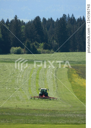 A tractor is driving down a field of green grass A tractor is driving down a field of green grass 134596748