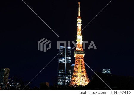 從東京芝公園4號眺望東京鐵塔 從東京芝公園4號眺望東京鐵塔 134597410