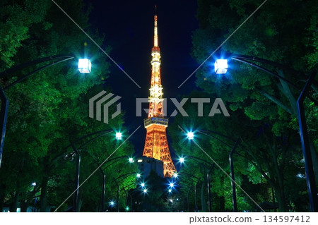 從東京芝公園4號眺望東京鐵塔 134597412