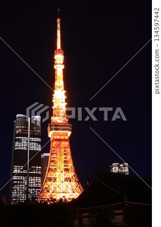Tokyo Tower as seen from Shiba Park No. 4, Tokyo Tokyo Tower as seen from Shiba Park No. 4, Tokyo 134597442