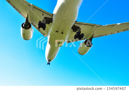 天空中的飛機 134597487