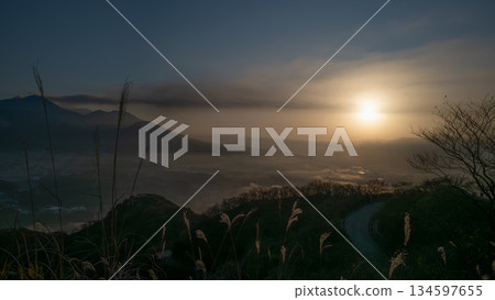 從日本蒲葦叢中可以看到鑽石 134597655