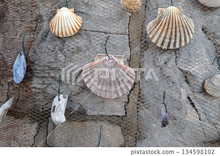 Fishing net decorated with seashell, exposed as decoration in front of the restaurant in Icici, Croatia 134598102