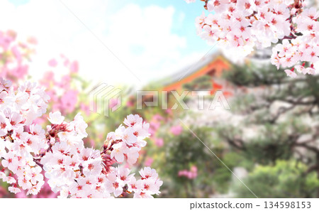 Beautiful nature spring scene with sakura flowers. Blooming sakura and roof of ancient Japanese pavilion in garden, Miyajima island, Japan. Japanese hanami festival. Cherry blooming season in Japan 134598153