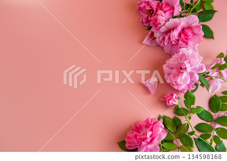 Delicate rose blossoms composition with empty background space 134598168