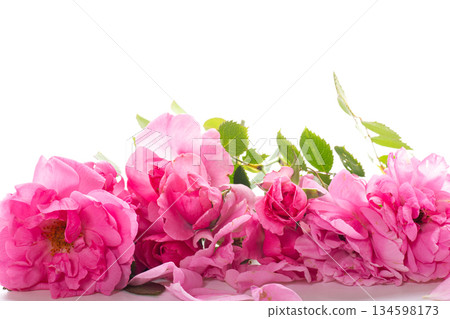 Romantic composition with roses on white background Romantic composition with roses on white background 134598173