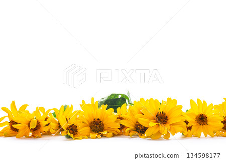 Yellow flowers arranged on white background with space for text 134598177