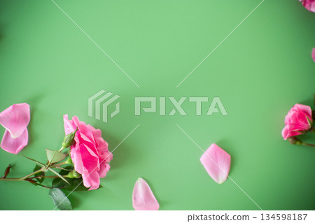 Delicate roses on a green background with copy-space Delicate roses on a green background with copy-space 134598187