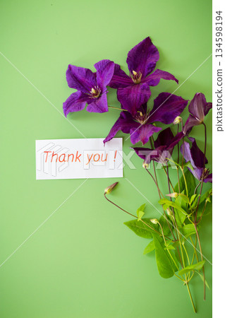 Isolated branch of clematis with petals on green Isolated branch of clematis with petals on green 134598194