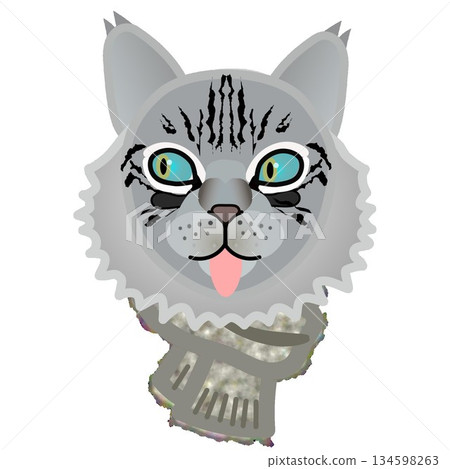 一隻貓戴著毛茸茸的圍巾的插圖 134598263