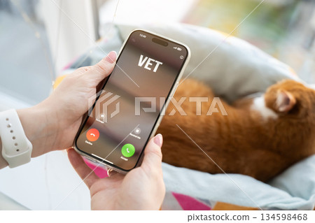 The cat owner receives a phone call from the veterinarian. Treatment and prevention of diseases in cats and pets. Remote consultation, pet healthcare communication. Animal wellbeing at home. The cat owner receives a phone call from the veterinarian. Treatment and prevention of diseases in cats and pets. Remote consultation, pet healthcare communication. Animal wellbeing at home. 134598468