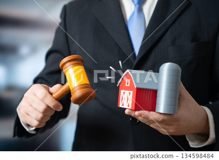 Court ruling on the farm. Auction for the sale of the agro-industrial enterprise. Asset sale, land ownership change. Agribusiness risks and rural economy. 134598484