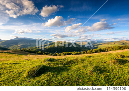 beautiful countryside of ukraine. sunny afternoon. wonderful summertime landscape in mountains. scenic view of green grassy field and rolling hills for great background. rural scenery under blue sky. beautiful countryside of ukraine. sunny afternoon. wonderful summertime landscape in mountains. scenic view of green grassy field and rolling hills for great background. rural scenery under blue sky. 134599108