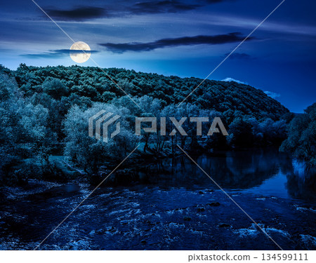 River flows among green forest near mountain at night. picturesque nature of a serene spring landscape in full moon light. deciduous trees reflection. backdrop for fiction art or mystery concepts River flows among green forest near mountain at night. picturesque nature of a serene spring landscape in full moon light. deciduous trees reflection. backdrop for fiction art or mystery concepts 134599111