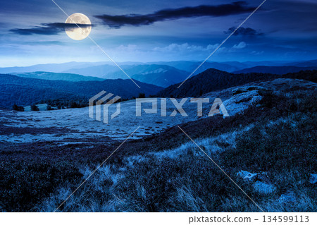 landscape with grassy meadow at night. mountain scenery in summer in full moon light. travel background. background for investment or abstract concepts. beauty in nature of green alpine environment landscape with grassy meadow at night. mountain scenery in summer in full moon light. travel background. background for investment or abstract concepts. beauty in nature of green alpine environment 134599113